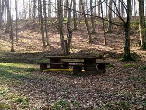 Kuca Za Odmor"Miran San" Vila Podgaric Exterior foto