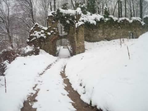 Kuca Za Odmor"Miran San" Vila Podgaric Exterior foto