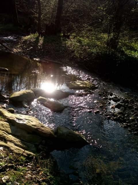 Kuca Za Odmor"Miran San" Vila Podgaric Exterior foto