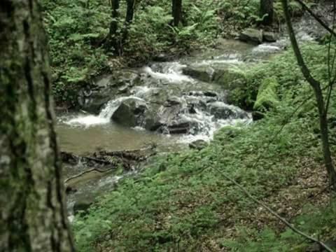 Kuca Za Odmor"Miran San" Vila Podgaric Exterior foto